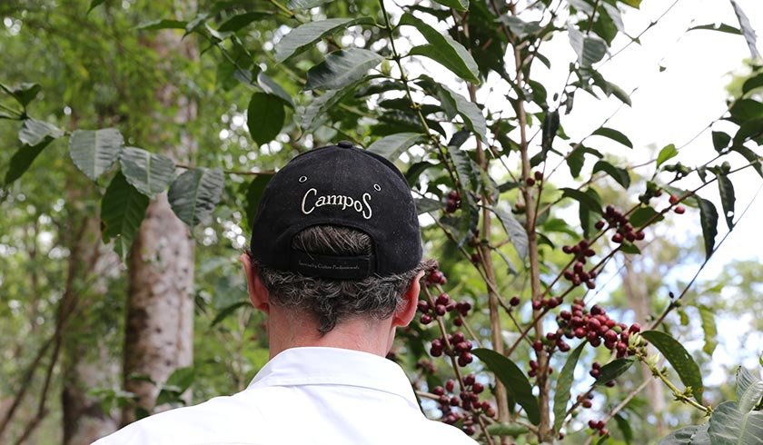 Will Young Panama Geisha Farm